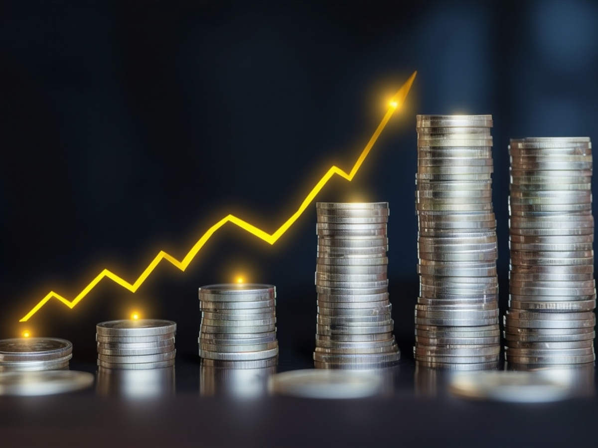 Business investment growth